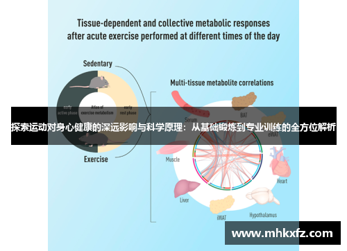 探索运动对身心健康的深远影响与科学原理：从基础锻炼到专业训练的全方位解析